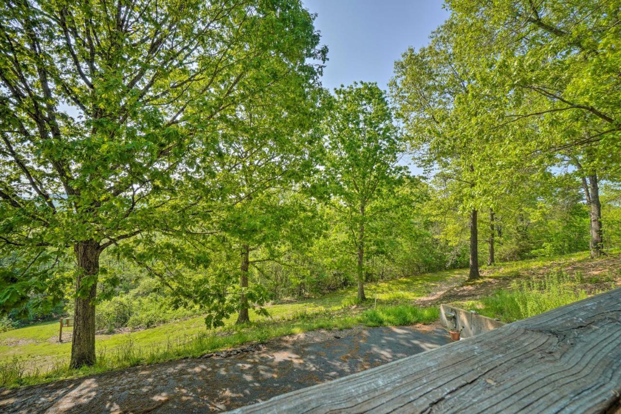 Apartment - 2 Mi To Silver Dollar